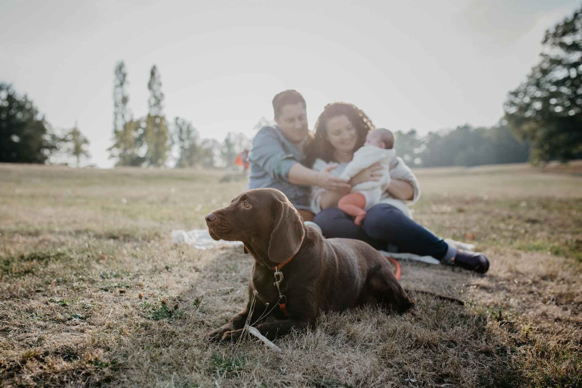 Séance photo Famille Lyon